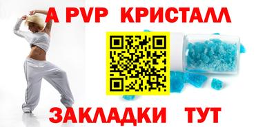 хмурый Кингисепп