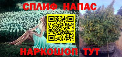хмурый Кингисепп