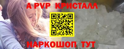 хмурый Кингисепп