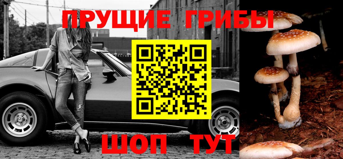 Котельники  дарнет шоп  Вход с VPN  Псилоцибиновые грибы прущие грибы 